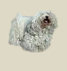 A feh�r puli 